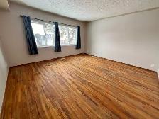 Brand new large room at main level - Photo 5