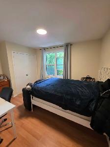 2 Furnished Rooms in a 3 Bdrm Male Graduate Apartment - Photo 8