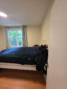 2 Furnished Rooms in a 3 Bdrm Male Graduate Apartment - Photo 9