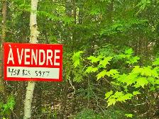 Terrain a. Vendre a 10 minutes de Rawdon e st julienne - Photo 3