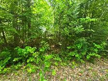 Terrain a. Vendre a 10 minutes de Rawdon e st julienne - Photo 5