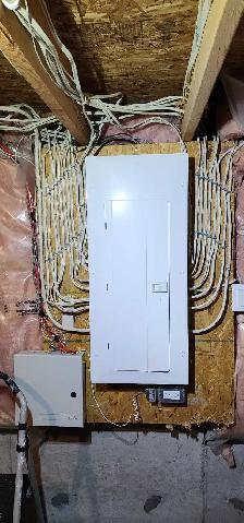 Pot Lights, EV Chargers & Panel Upgrades - Photo 2