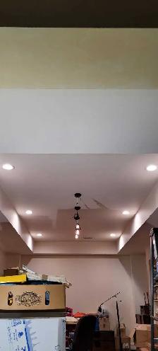 Pot Lights, EV Chargers & Panel Upgrades - Photo 4
