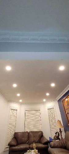 Pot Lights, EV Chargers & Panel Upgrades - Photo 5