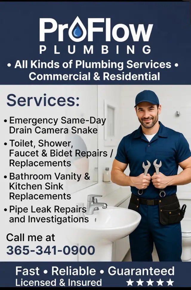 professional plumbing