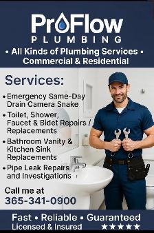 professional plumbing