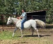 Broke Mare with a Filly - Photo 5
