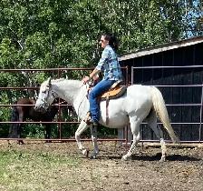 Broke Mare with a Filly - Photo 9