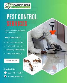 Professional Pest Control Services – Toronto & GTA | 10% OFF