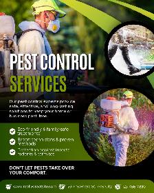 Professional Pest Control Services – Toronto & GTA | 10% OFF - Photo 2