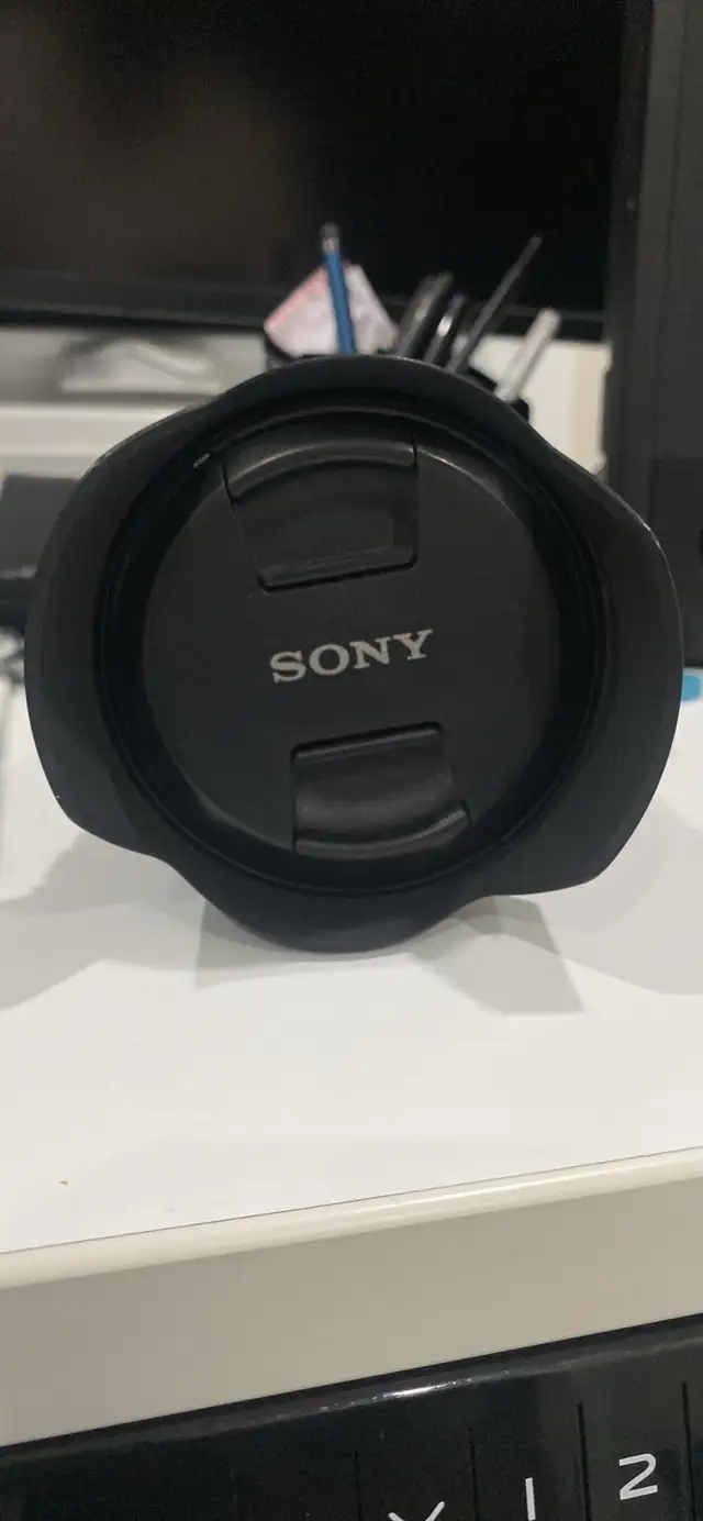 lens 24-105 Sony g