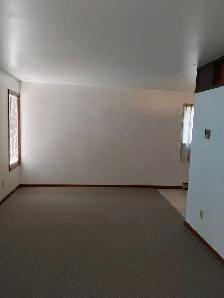 Large & Clean 1 Bedroom Apartment For Rent Near B.U. - Photo 2
