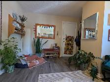 newly renovated 1 bedroom apartment 22 james st east sept 1st - Photo 2