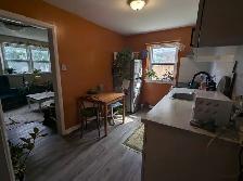 newly renovated 1 bedroom apartment 22 james st east sept 1st - Photo 4