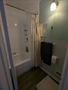 newly renovated 1 bedroom apartment 22 james st east sept 1st - Photo 5