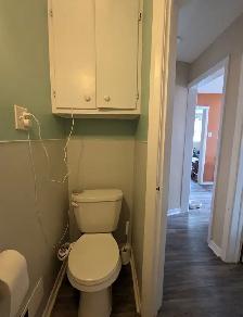 newly renovated 1 bedroom apartment 22 james st east sept 1st - Photo 6