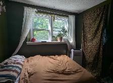 newly renovated 1 bedroom apartment 22 james st east sept 1st - Photo 8