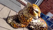 Jaguar en céramique - Photo 3