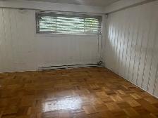 Large 3 1/2 renovated, bright semi-basement
