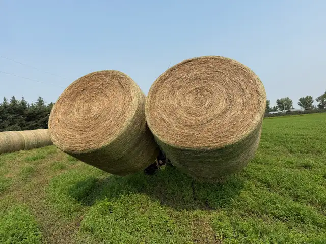 Hay bales