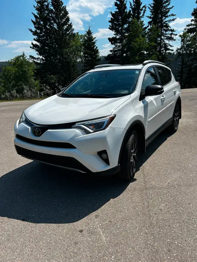 2018 Toyota, Rav  SE
