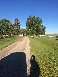 Horse Boarding Available in Springbank Area 2-3 - Photo 2
