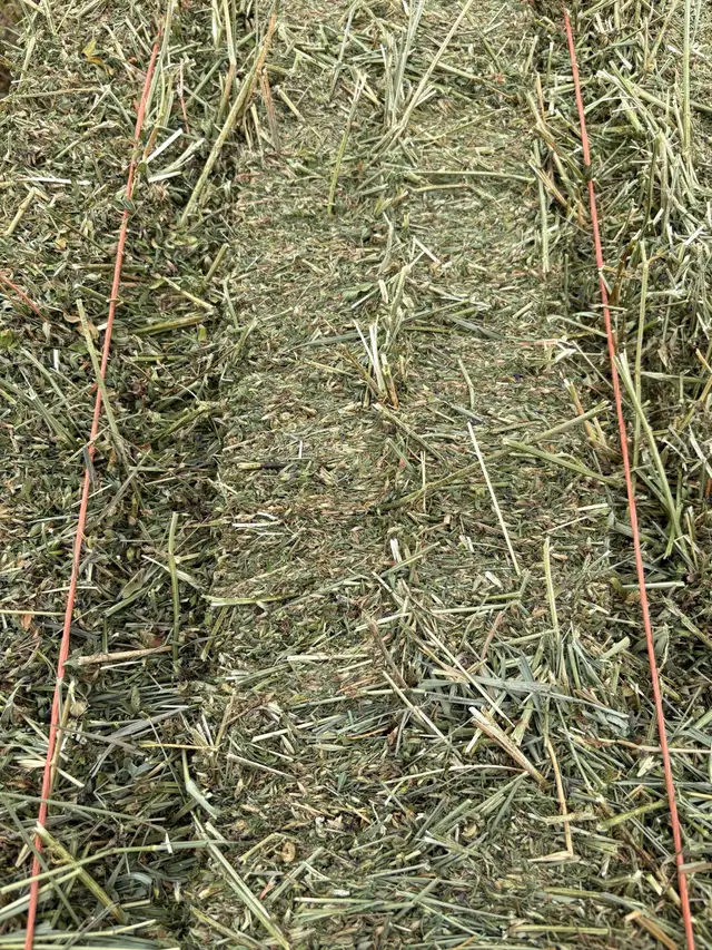 Alfalfa hay for sale