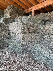 Alfalfa hay for sale - Photo 4