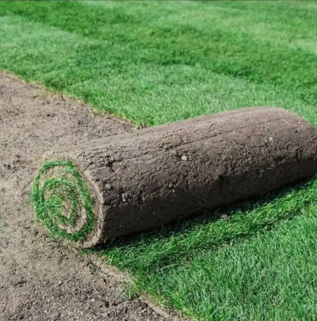 Sod  Installation