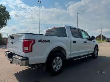 2017 Ford F-150 F-150 XLT - 174K - Crew Cab - ECO BOOST - CLEAN - Photo 5