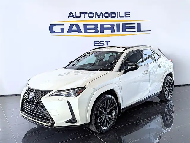 2021 Lexus UX 250h