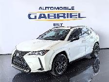 2021 Lexus UX 250h
