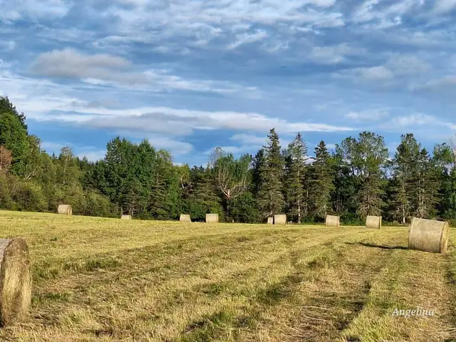 Round Bales