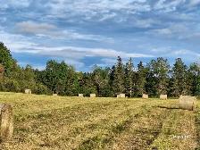 Round Bales