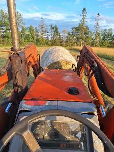 Round Bales - Photo 2