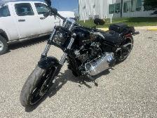 2019 Harley-Davidson Softail