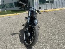 2019 Harley-Davidson Softail - Photo 6