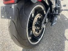 2019 Harley-Davidson Softail - Photo 7