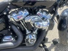2019 Harley-Davidson Softail - Photo 12