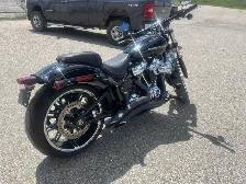 2019 Harley-Davidson Softail - Photo 14