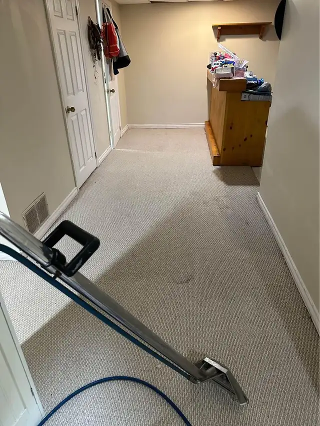 Best_Professional Carpet & Upholstery_Cleaning All Around_GTA