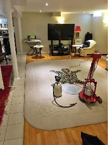 Best_Professional Carpet & Upholstery_Cleaning All Around_GTA - Photo 5
