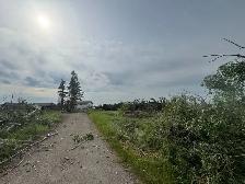free firewood spruce and Aspen - Photo 2
