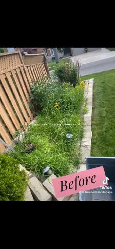 lawn cutting - Photo 2