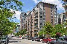 Appartement de luxe à louer en plein centre-ville