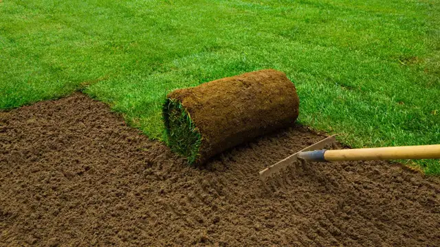 $33/hr Looking for experienced sod installer with truck , tools