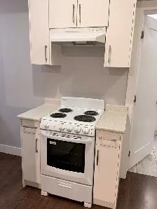 Beautiful Bachelors Suite for rent in Cloverdale - Photo 6