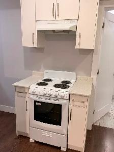 Beautiful 1 Bedroom Bachelor’s Suite for rent in Cloverdale - Photo 5