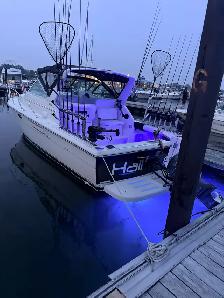 LAKE ERIE WALLEYE FISHING CHARTER - Photo 5