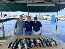 LAKE ERIE WALLEYE FISHING CHARTER - Photo 8